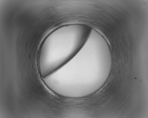 X0000052561197200507221427