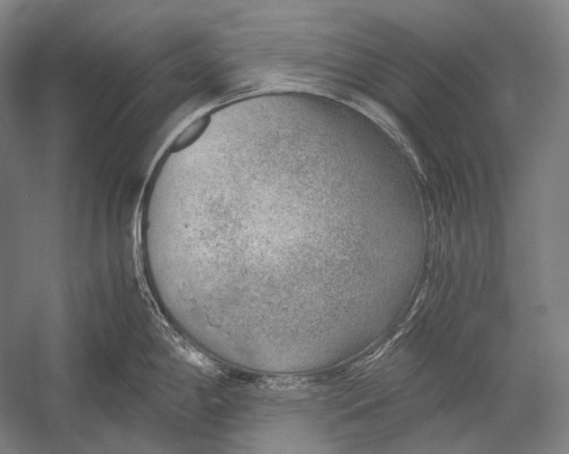 X0000052561198200507221427