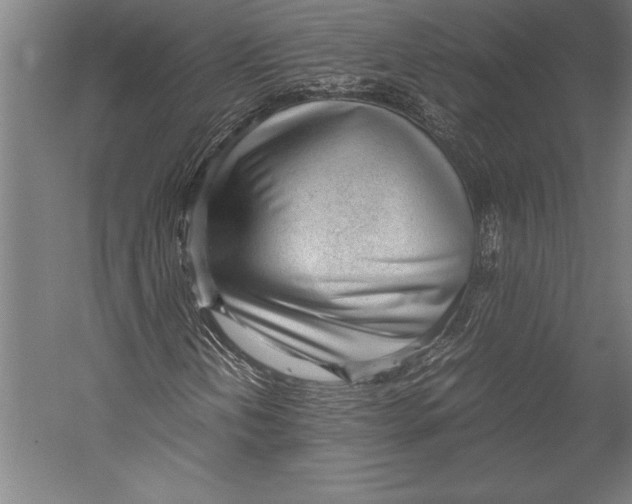 X0000052561202200507221427