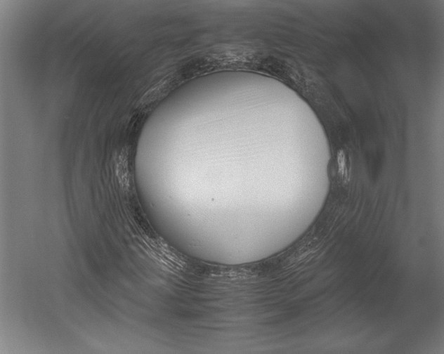 X0000052561203200507221427