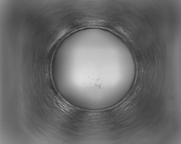 X0000052561211200507221427