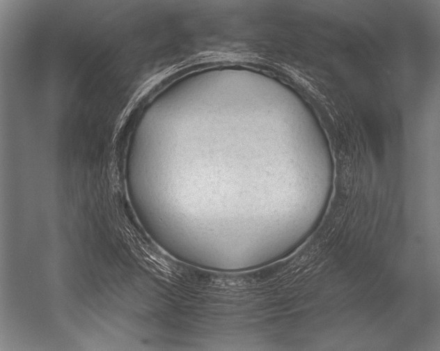 X0000052561215200507221427