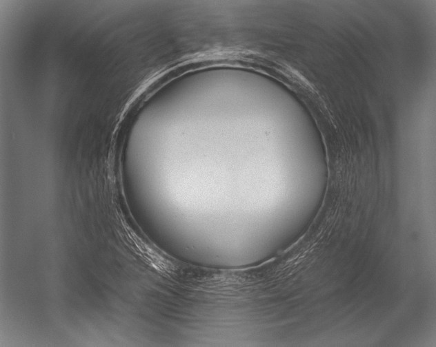 X0000052561216200507221427