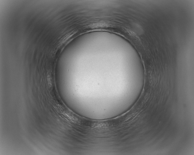 X0000052561217200507221427