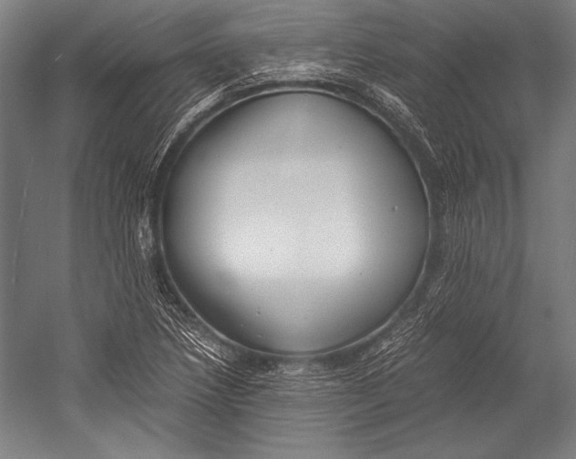 X0000052561218200507221427