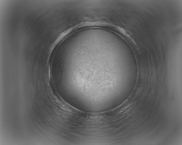 X0000052561221200507221427