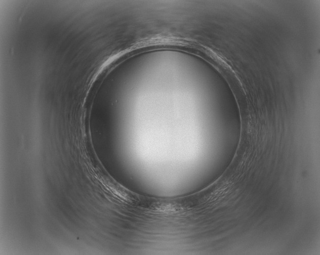 X0000052561222200507221427