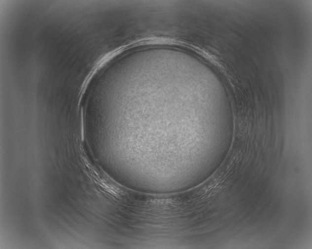 X0000052561223200507221427