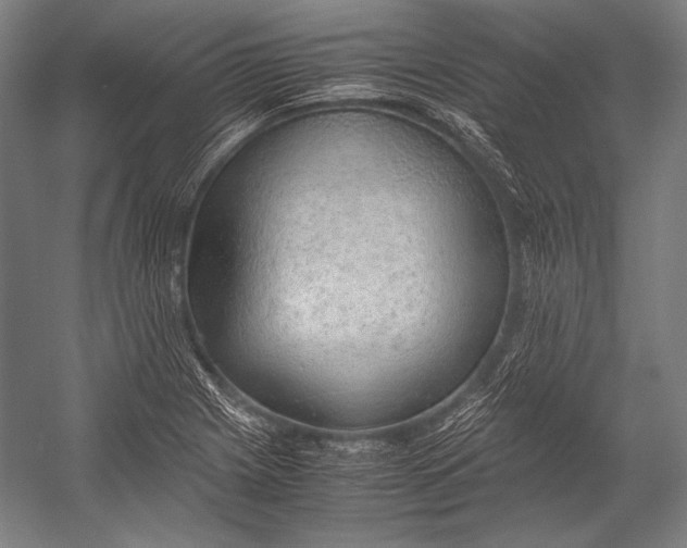 X0000052561225200507221427