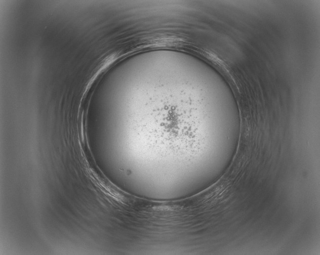 X0000052561227200507221427
