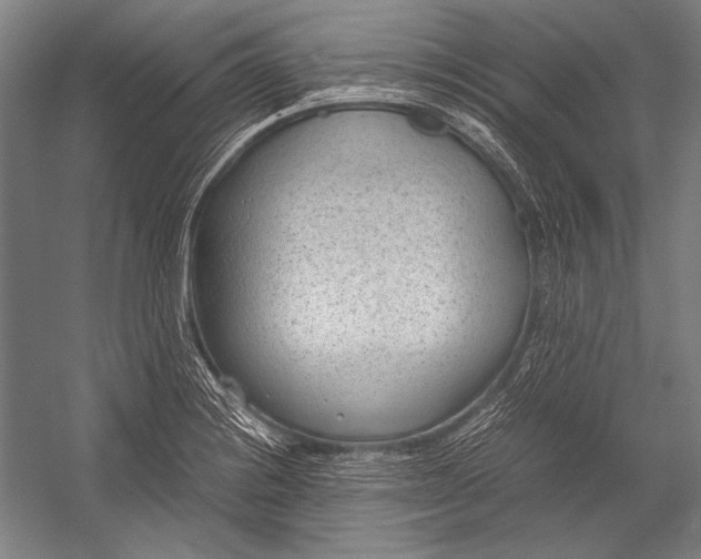X0000052561228200507221427