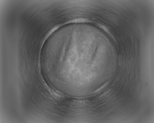 X0000052561229200507221427