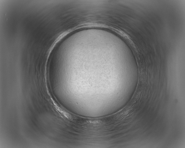 X0000052561231200507221427
