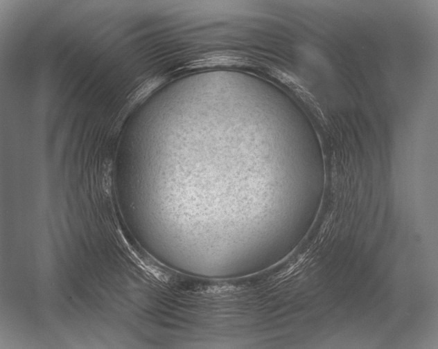 X0000052561233200507221427