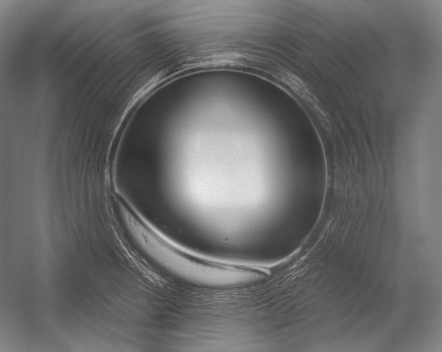 X0000052561234200507221427