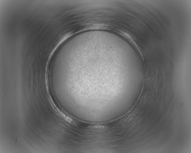 X0000052561235200507221427
