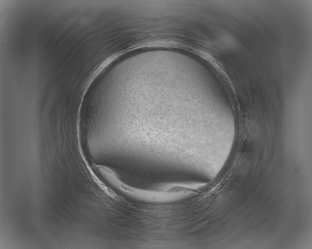X0000052561237200507221427