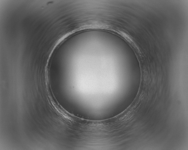 X0000052561238200507221427