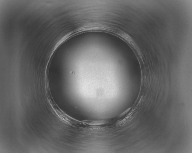 X0000052561242200507221427