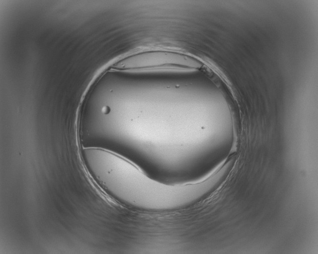 X0000052561246200507221427