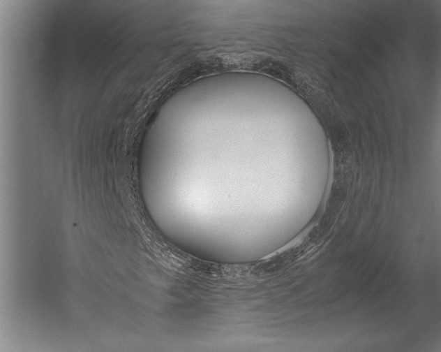 X0000052561249200507221427