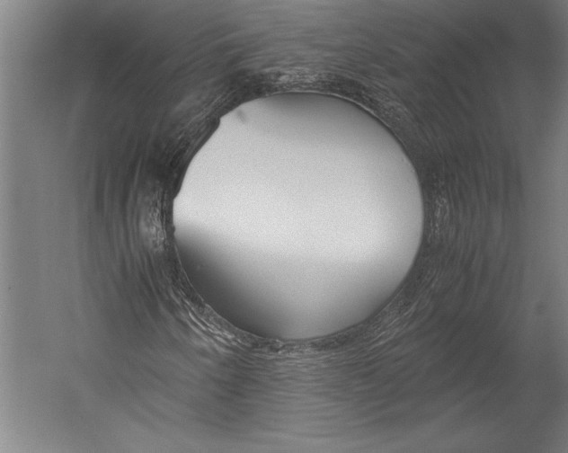 X0000052561250200507221427