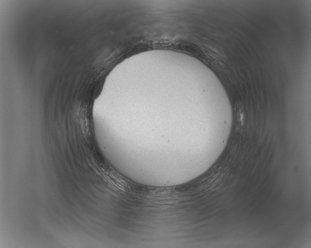 X0000052561252200507221426