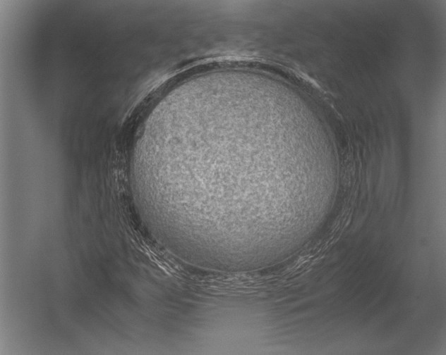 X0000052561255200507221426