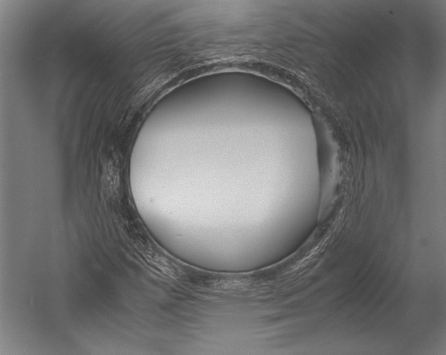X0000052561257200507221426