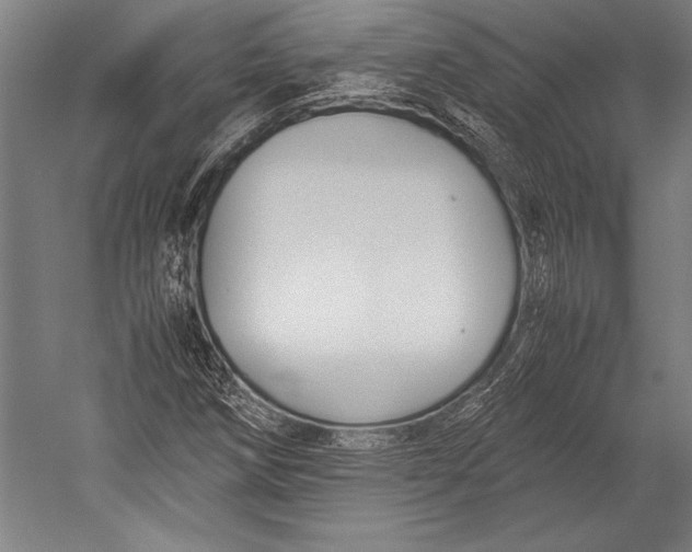 X0000052561258200507221426