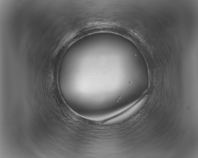 X0000052561261200507221426