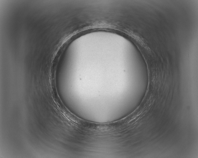 X0000052561264200507221426