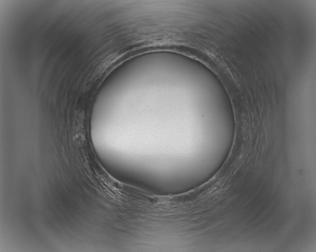X0000052561265200507221426