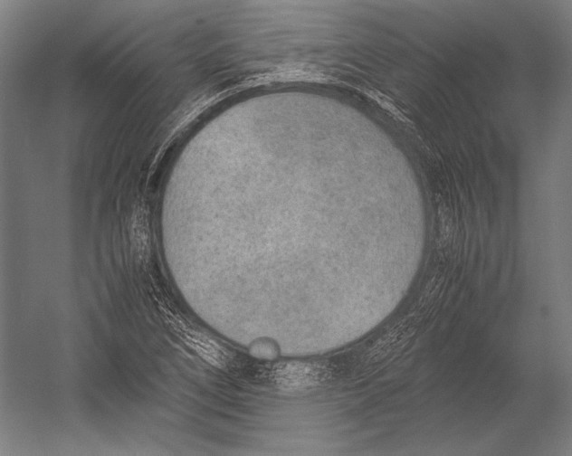 X0000052561266200507221426