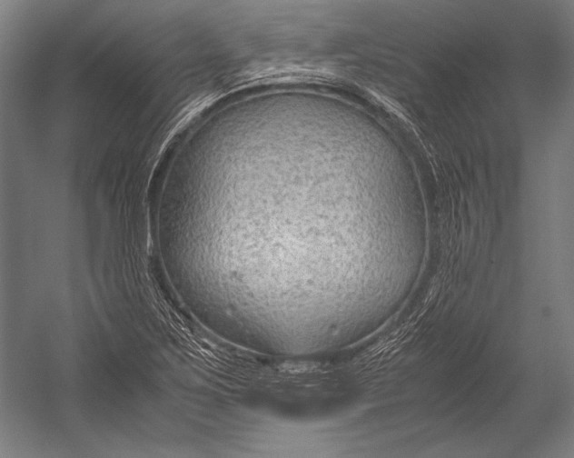 X0000052561267200507221426