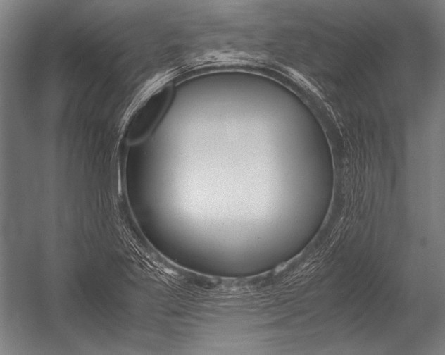 X0000052561269200507221426
