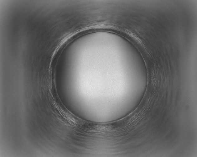 X0000052561270200507221426