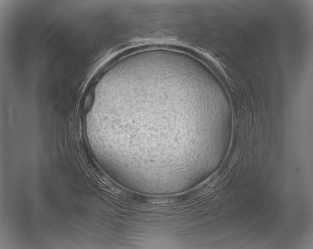 X0000052561271200507221426