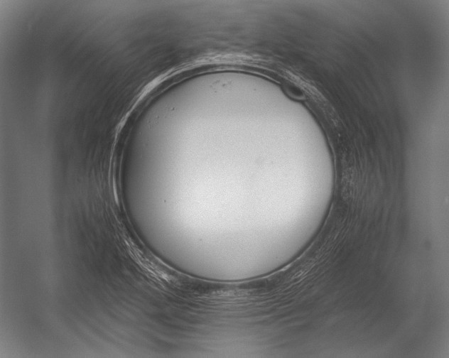 X0000052561272200507221426