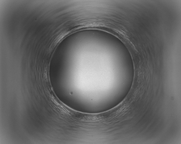 X0000052561273200507221426