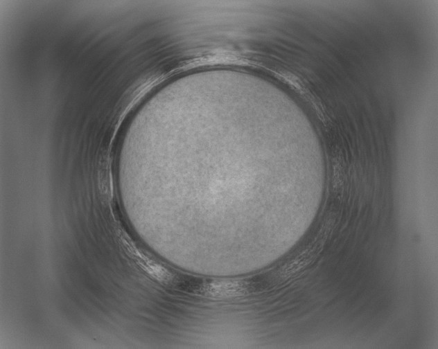 X0000052561274200507221426