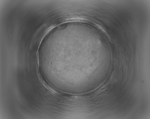 X0000052561275200507221426