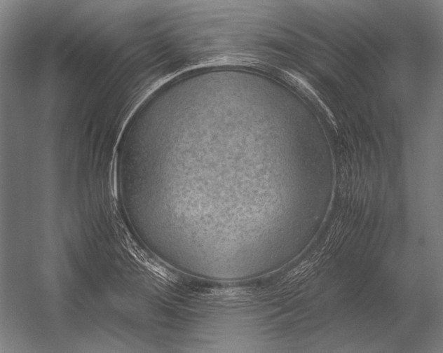 X0000052561276200507221426