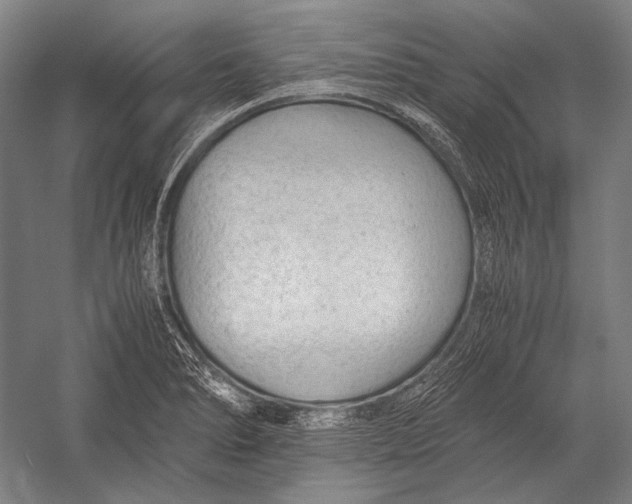 X0000052561278200507221426