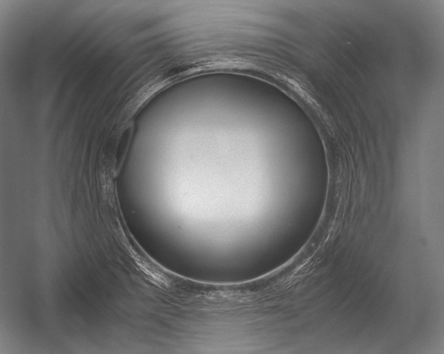 X0000052561281200507221426