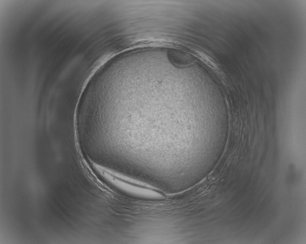X0000052561283200507221426