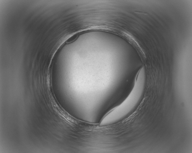 X0000052561284200507221426