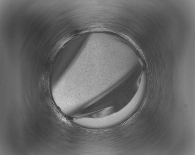 X0000052561289200507221426