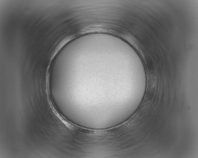 X0000052561290200507221426