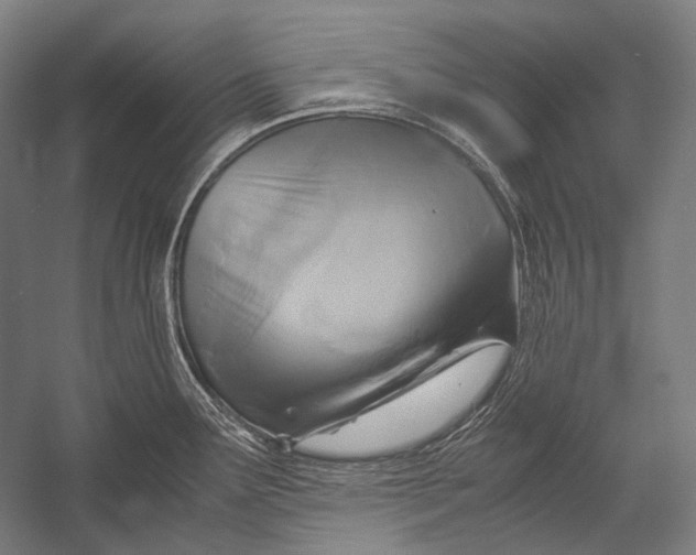 X0000052561291200507221426